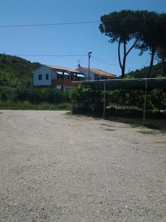 Hotel Rustichello Marina di Campo Extérieur photo