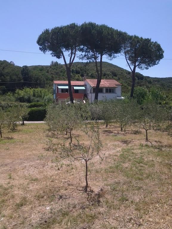 Hotel Rustichello Marina di Campo Extérieur photo